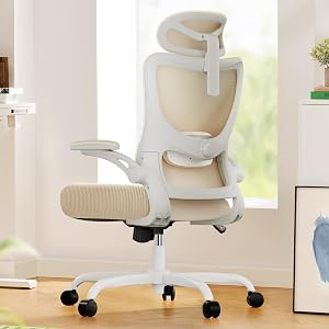 Marsail Ergonomic Office Chair: Office Computer Desk Chair with High Back Mesh and Adjusta