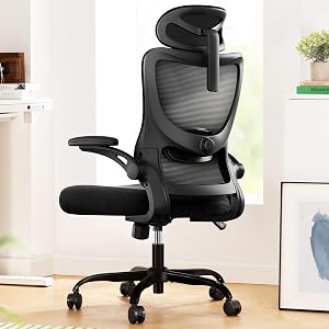 Marsail Ergonomic Office Chair: Office Desk Chair with High Back Mesh and Adjustable Lumba