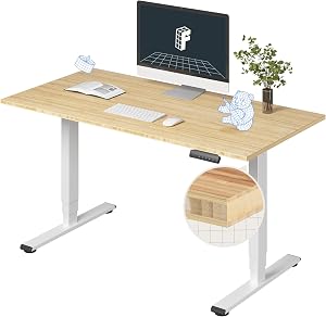 FlexiSpot E6 Bamboo 3-Stage Dual Motor Electric Standing Desk 55 x 28 Sit Stand Up Desk, H