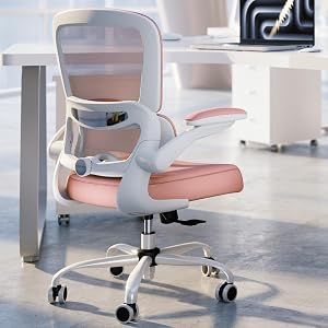 TRALT Office Chair - Ergonomic Desk Chair with Adjustable Lumbar Support, Mesh Computer Ch