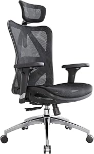 SIHOO M57 Ergonomic Mesh Office Chair, High Back Home Desk Chair with 3D Armrests, Lumbar 