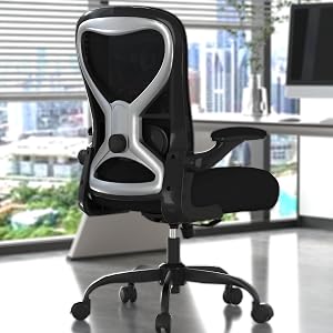 CASASIO Office Desk Chair with Ergonomic Lumbar Support, Extra-Thick Seat Cushion, Flip-up
