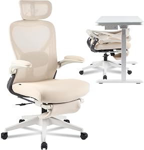 FLEXISPOT Foldex Ergonomic Office Chair, Folding Chair for Small Spaces with Lumbar Suppor