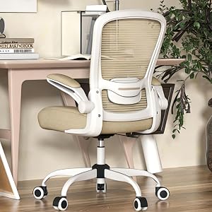 Mimoglad Home Office Chair - Ergonomic High Back Desk Chair with Adjustable Lumbar Support