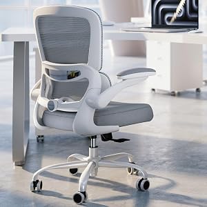TRALT Office Chair - Ergonomic Desk Chair with Adjustable Lumbar Support, Mesh Computer Ch