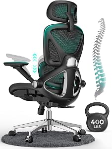 CAPOT Ergonomic Mesh Office Chair, Adjustable Lumbar High Back Desk Chair 400lbs, 4D Flip-