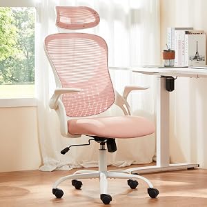 Sweetcrispy Home Office Managerial Executive Chair, High-Back Mesh with Adjustable Headres