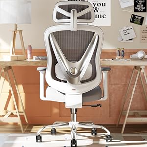 HOLLUDLE Ergonomic Mesh Office Chair - 3D Adjustable Lumbar Support & 3D Armrests, V-S