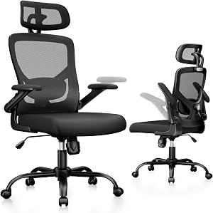 Marsail Ergonomic Mesh Office Chair High Back Desk Chair Adjustable Lumbar Support with He
