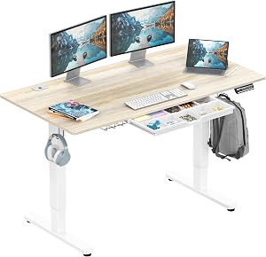 SHW 55 x 28 Inches Electric Height Adjustable Standing Desk with Drawer and Memory Preset,