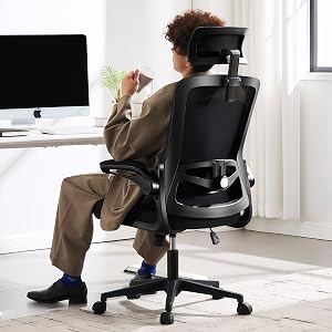 Fizzin Ergonomic Office Chair, 400 LBS Computer Chairs with Adjustable Lumbar Support, Bre