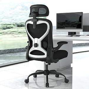 Home Office Desk Chairs, Ergonomic Office Chair with Lumbar Support & 3D Headrest, Com