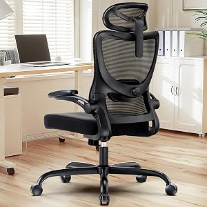 HUANUO Ergonomic Office Chair, High Back Computer Desk Chair with Adjustable Lumbar Suppor