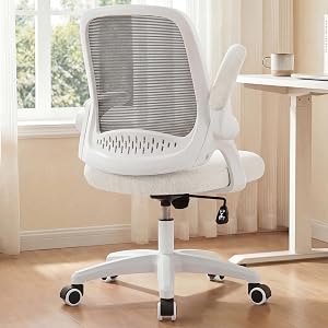 NEO CHAIR Office Desk Gaming Ergonomic Computer Chair with Lumbar Back Support Adjustable 