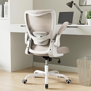 MUXX.STIL Office Chair, Ergonomic Desk Chair with Adjustable Lumbar Support and Flip up Ar